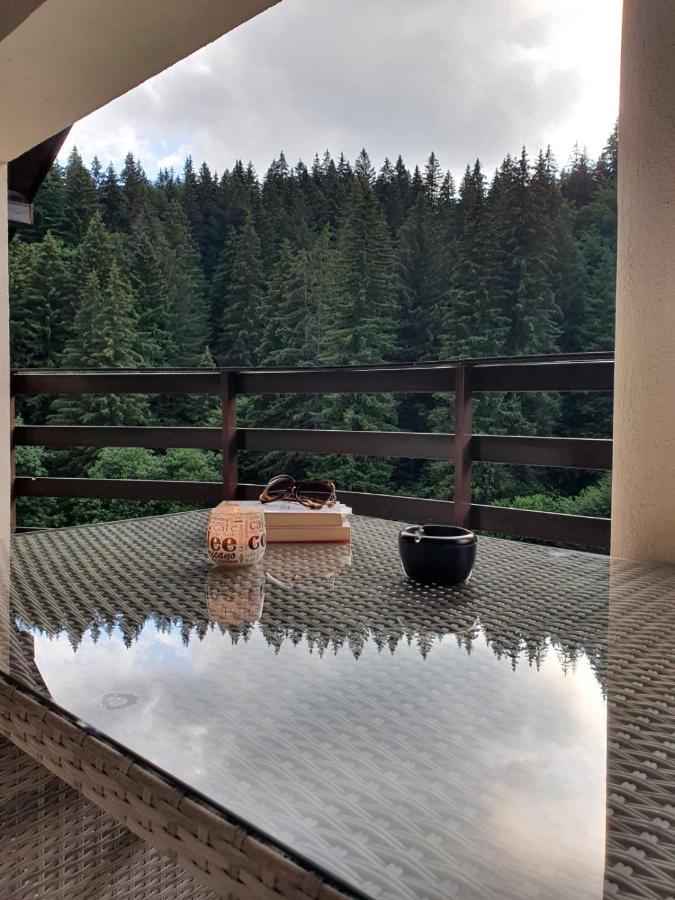 Apartament Ozon Poiana Brasov Buitenkant foto
