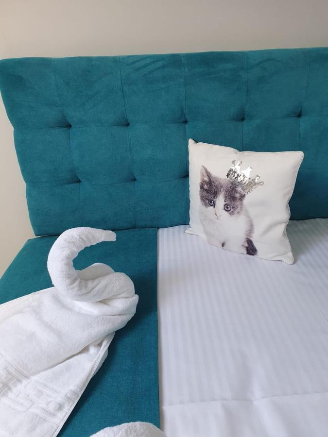 Apartament Ozon Poiana Brasov Buitenkant foto