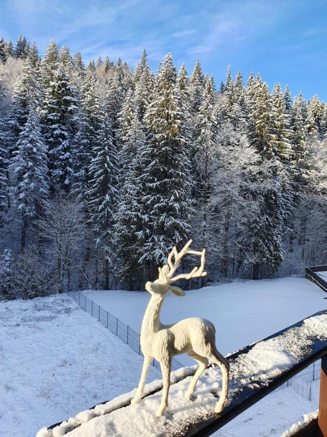 Apartament Ozon Poiana Brasov Buitenkant foto