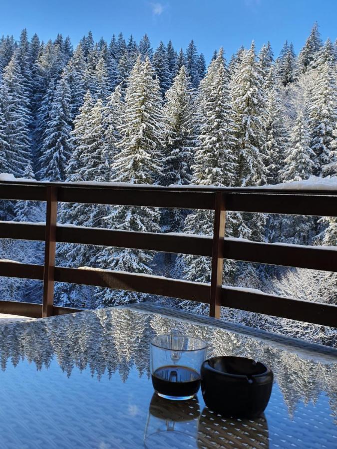 Apartament Ozon Poiana Brasov Buitenkant foto